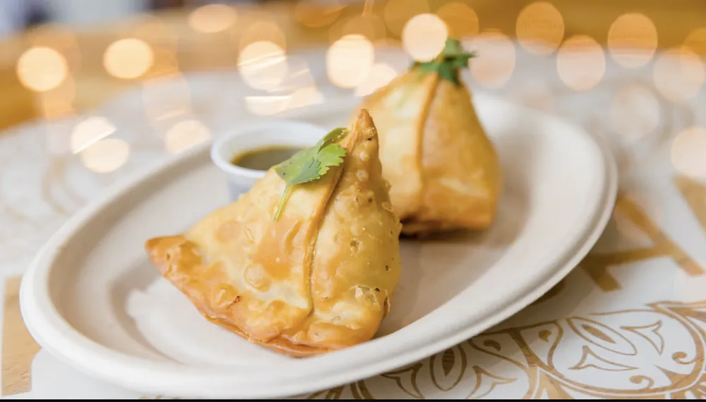 Vegetable Samosa 2